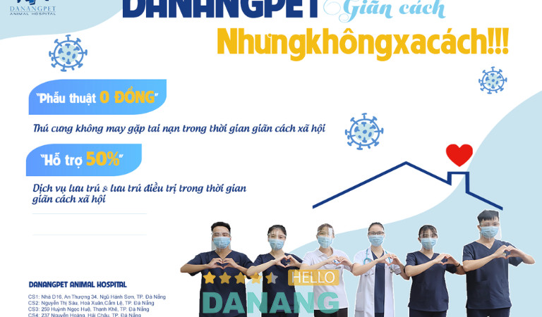 Bệnh viện thú y Danangpet 