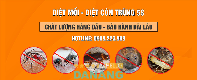 Diệt côn trùng 5S