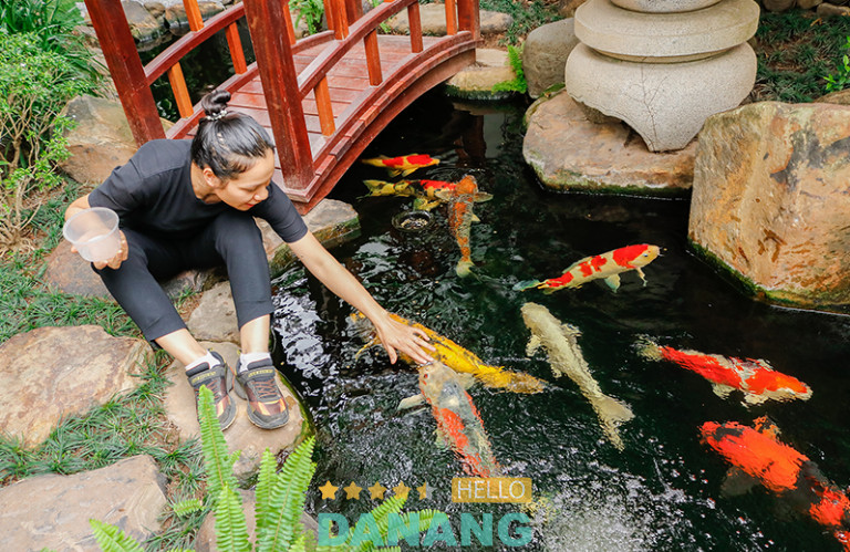 CÔNG TY CỔ PHẦN THƯƠNG MẠI VƯỜN NHẬT, TP. Đà Nẵng