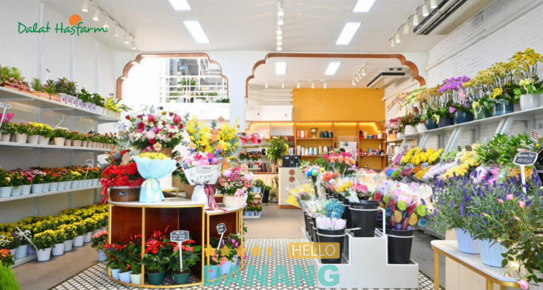 Dalat Hasfarm, TP. Đà Nẵng
