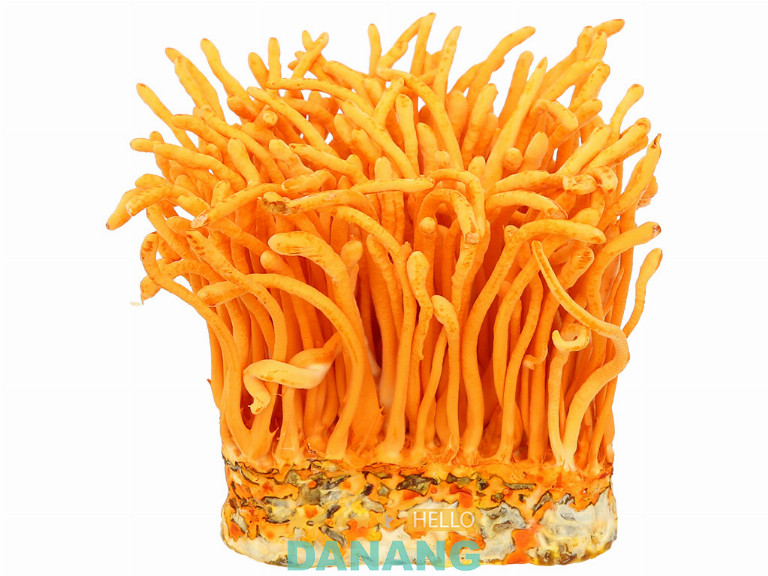 Vạn Hợp Long