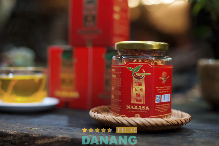 Đông Trùng Hạ Thảo Narasa