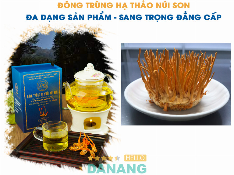 Đông Trùng Hạ Thảo Núi Son