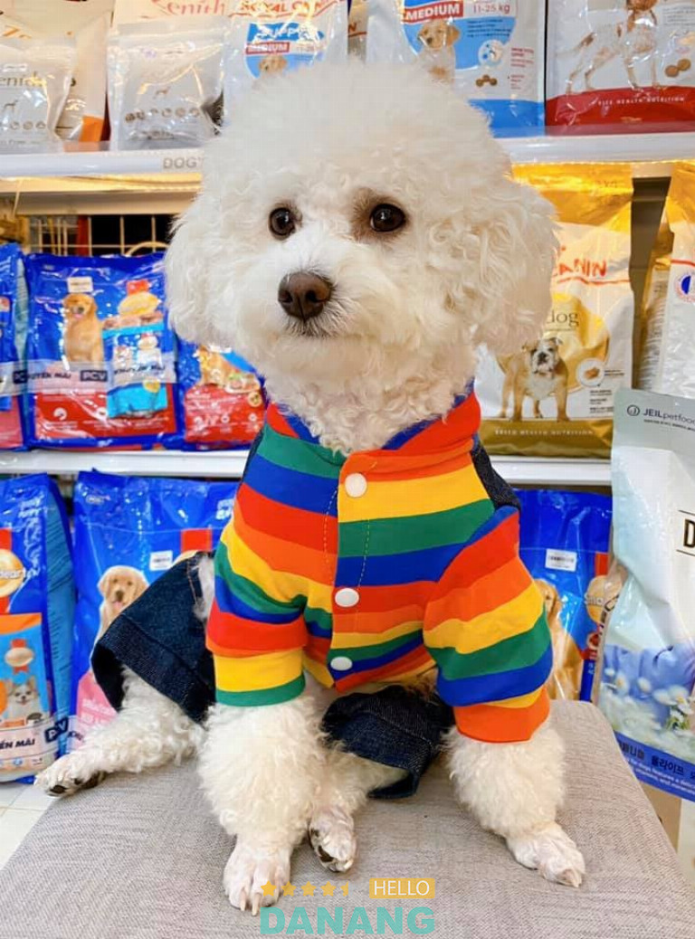 Xu Bông Pet Shop, Đà Nẵng