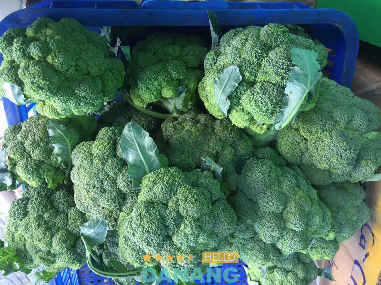Cửa hàng thực phẩm sạch Tâm An