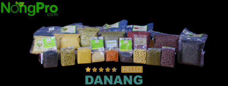 Nongpro, Đà Nẵng