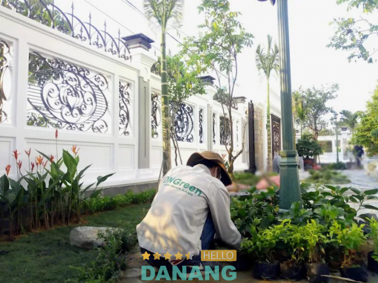 Công Ty DNGreen, Đà Nẵng 