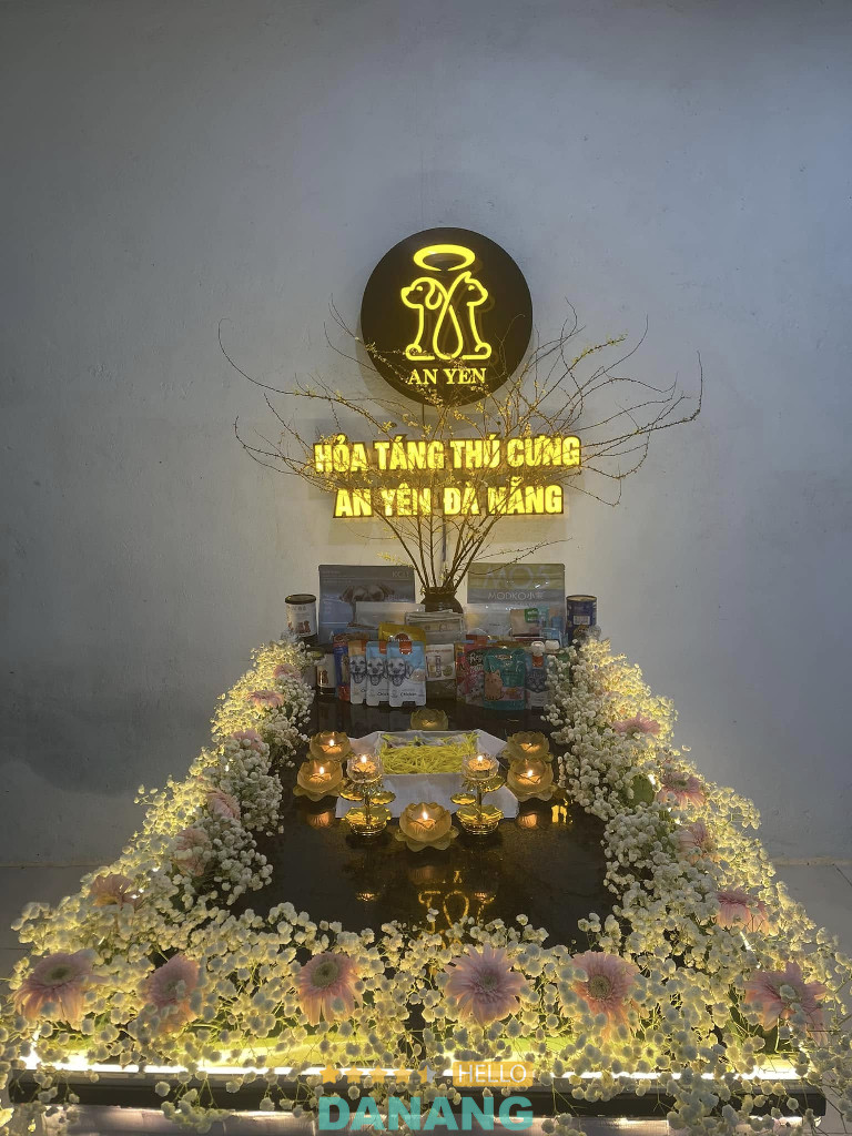 Dịch vụ hỏa táng thú cưng An Yên Đà Nẵng