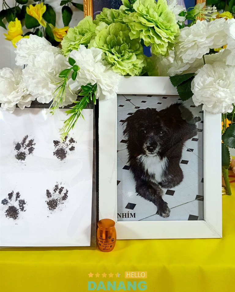 Dịch vụ hậu mãi chu đáo