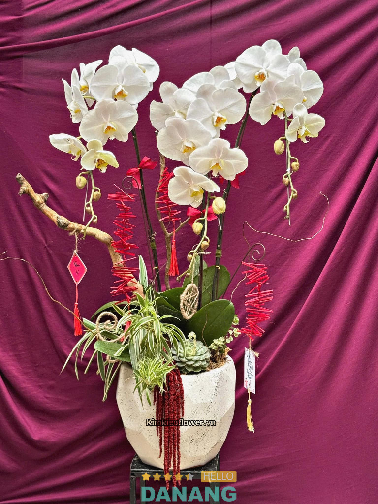Kim Kiều Flower