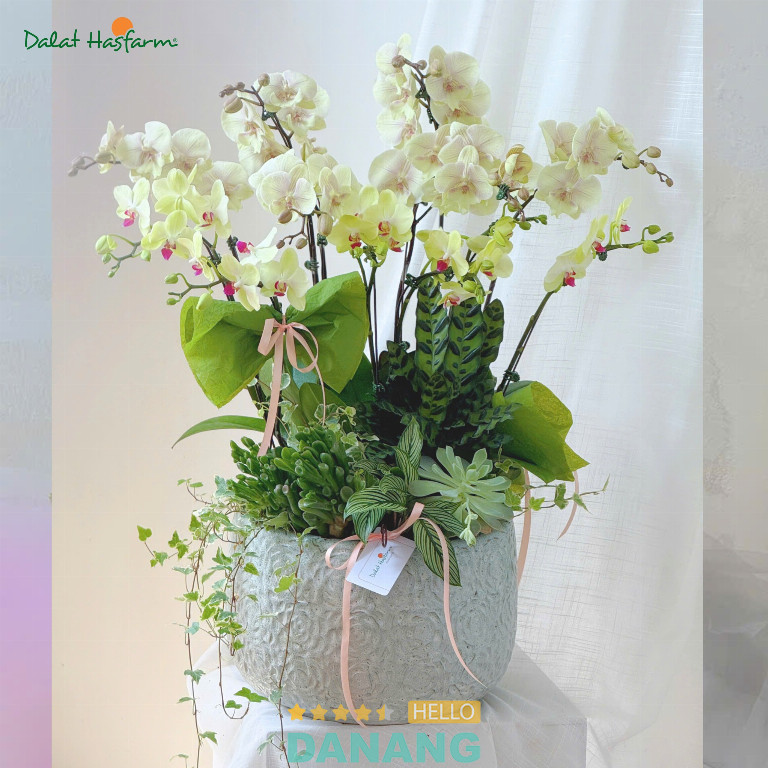 Dalat Hasfarm