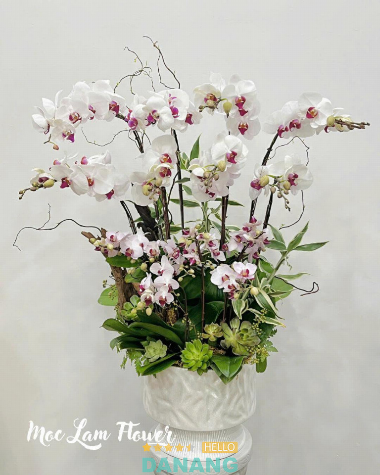 Mộc Lam Flower