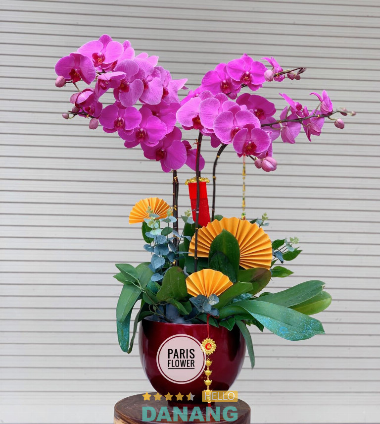 Paris Flower