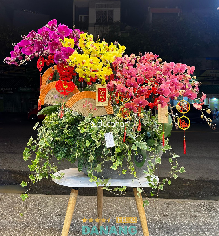 Duc Phan Flowers