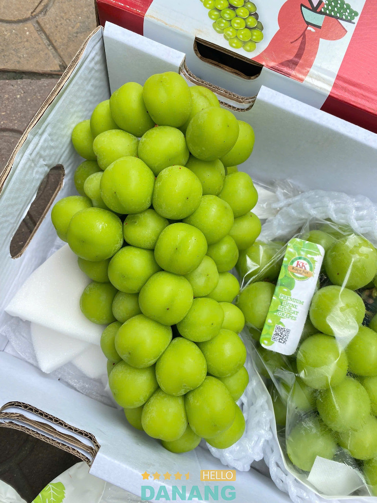 Hana Fruit Gift
