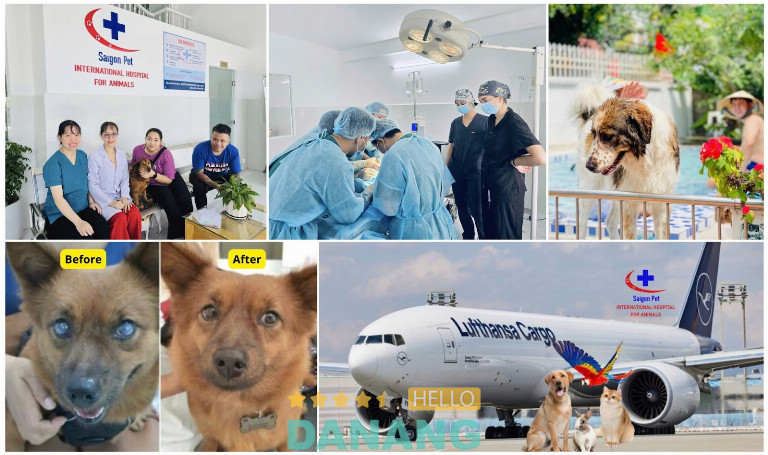 phòng khám thú ý ở Đà Nẵng