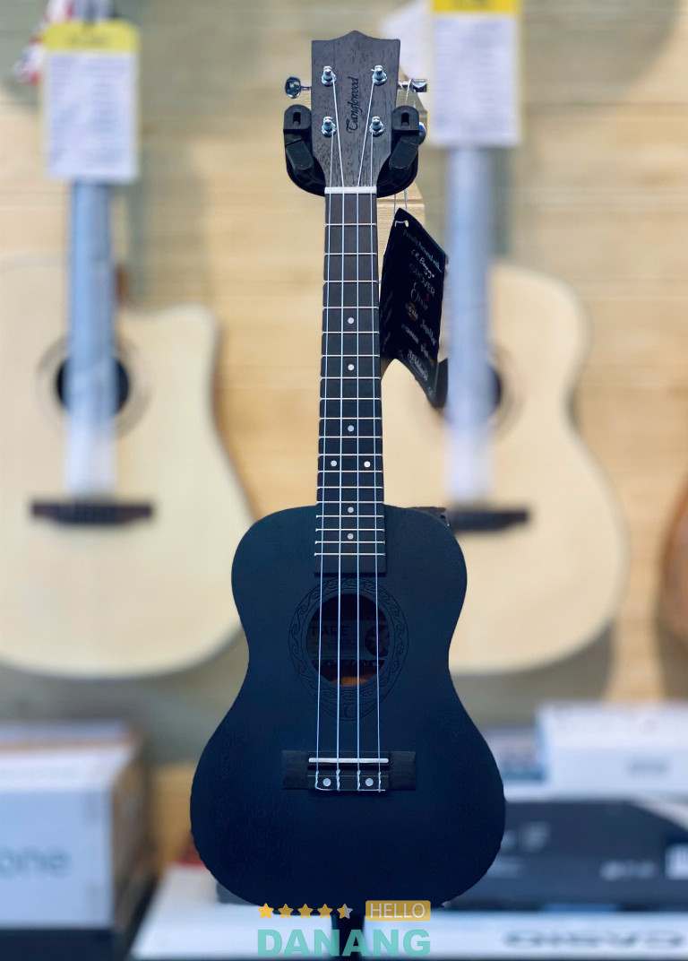 Việt Thương Music – Thanh Khê