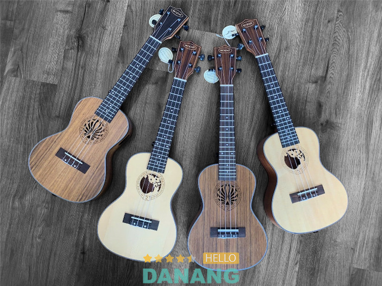 Guitar Đồng Tâm – Hòa Cường