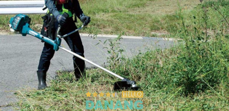 Công Ty Cổ Phần Công Nghệ F5, Đà Nẵng