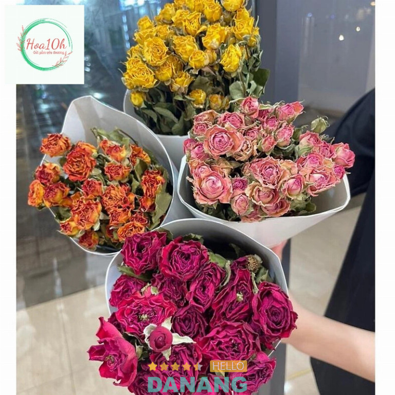 Hoa10h.vn - Hòa Khánh