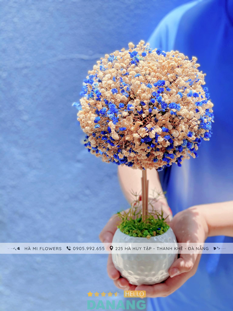 Hà Mi Flower (Si Mê) - Thanh Khê