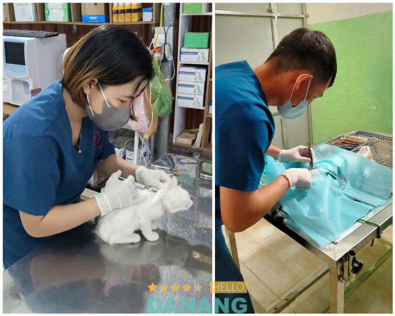 Phòng khám thú y ở Đà Nẵng