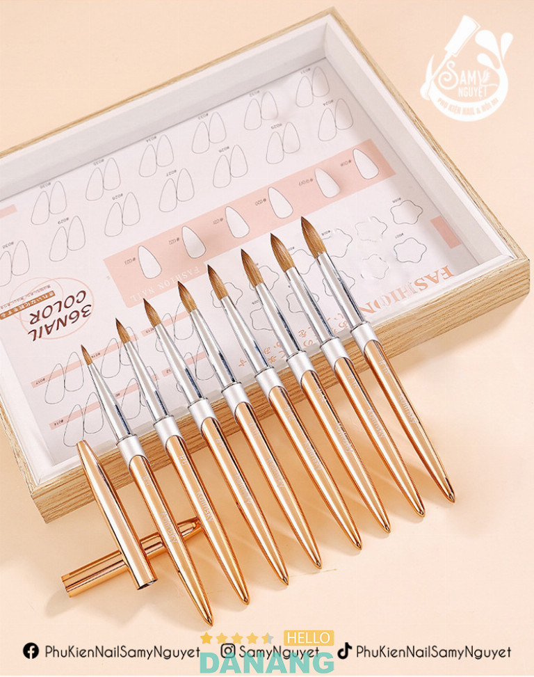 Samy Nguyệt – Hòa Cường