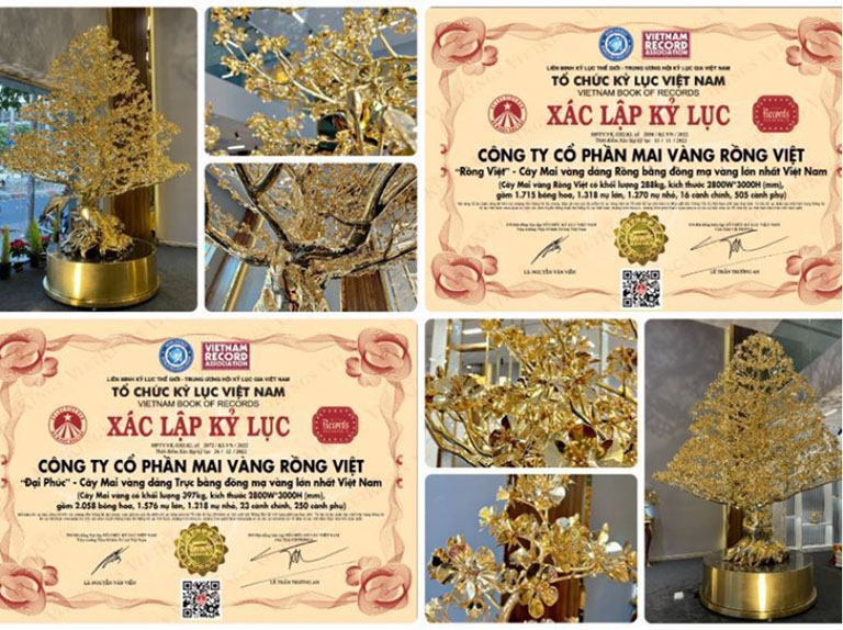 Quà mừng thọ cao cấp Mai Vàng Rồng Việt