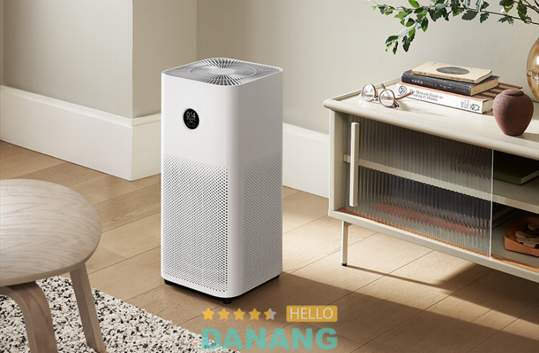 Điện tử Đại Hữu Nghị, Đà Nẵng