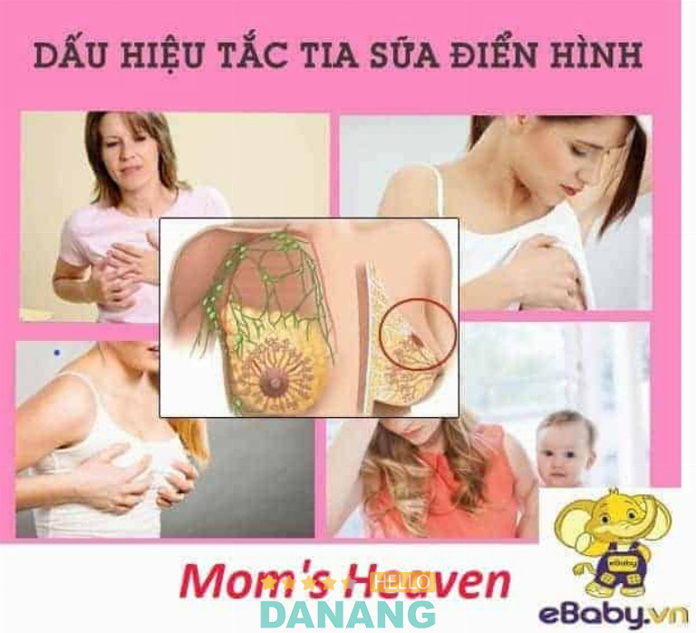 Mom’s Heaven, Đà Nẵng