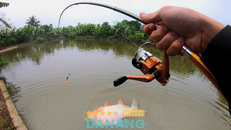 Vietnam Fishing, Đà Nẵng