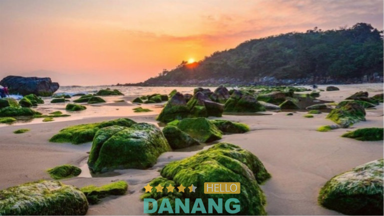 Rạn Nam Ô mang nét quyến rũ rất riêng