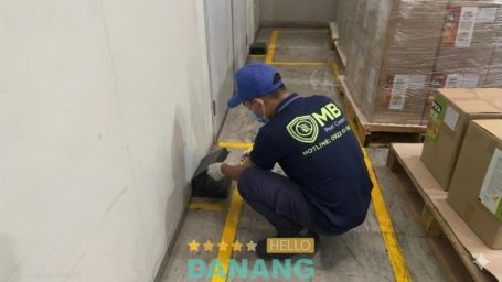 MB Pest Control diệt côn trùng Đà Nẵng
