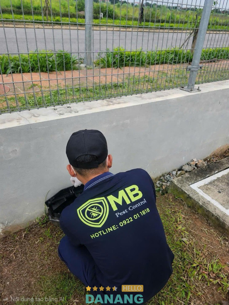 MB Pest Control diệt côn trùng Hải Phòng