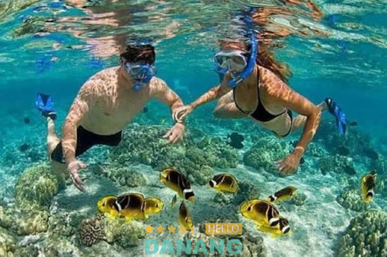 lịch trình du lịch Đà Nẵng khám phá biển đảo