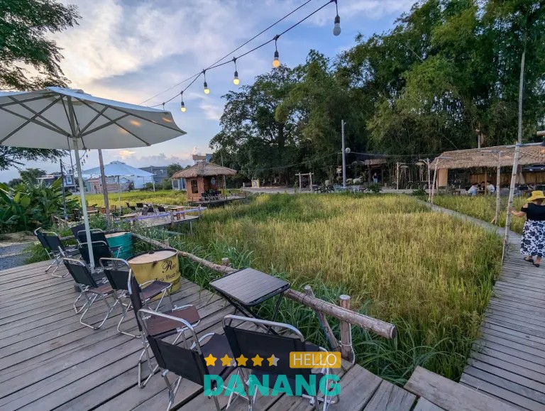 Field Coffee Phong Nam Đà Nẵng có view cánh đồng lúa